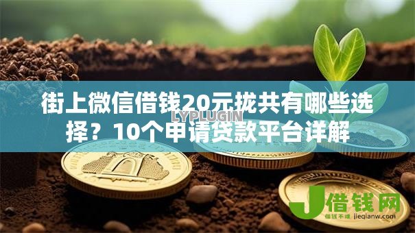 街上微信借钱20元拢共有哪些选择?10个申请贷款平台详解 街上微信借钱20元拢共有哪些选择?10个申请贷款平台详解