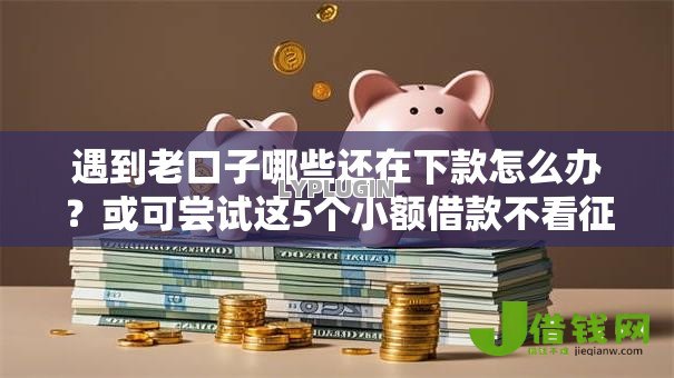 遇到老口子哪些还在下款怎么办？或可尝试这5个小额借款不看征信的平台
