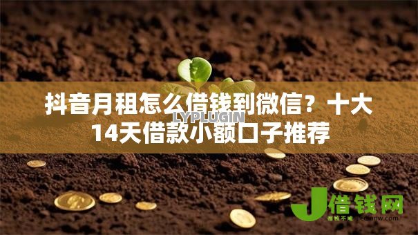 抖音月租怎么借钱到微信？十大14天借款小额口子推荐