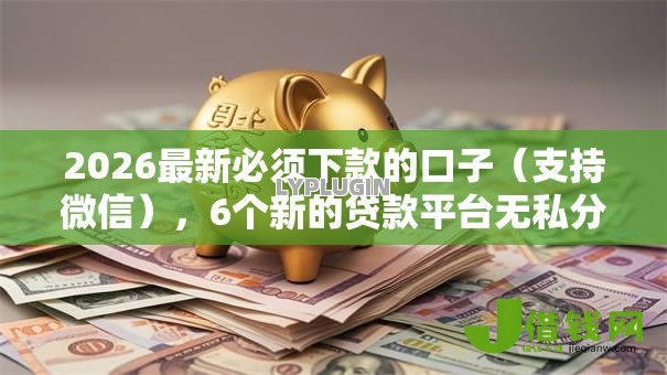 2026最新必须下款的口子（支持微信），6个新的贷款平台无私分享