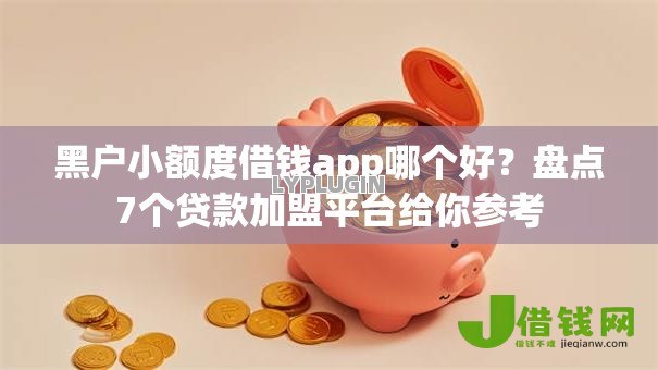 黑户小额度借钱app哪个好？盘点7个贷款加盟平台给你参考