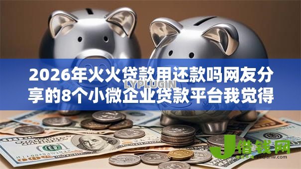 2026年火火贷款用还款吗网友分享的8个小微企业贷款平台我觉得不错！