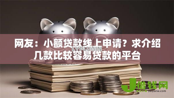 网友：小额贷款线上申请？求介绍几款比较容易贷款的平台