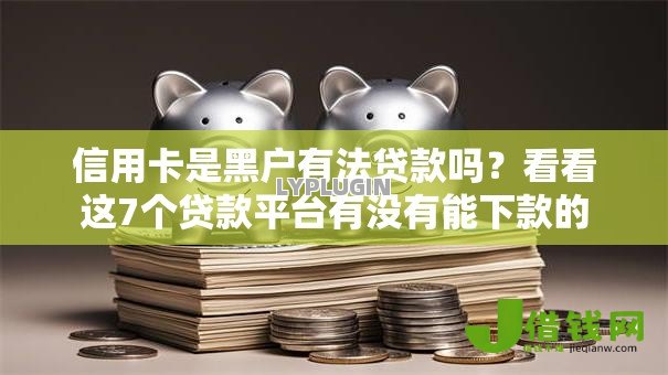 信用卡是黑户有法贷款吗?看看这7个贷款平台有没有能下款的 信用卡是黑户有法贷款吗?看看这7个贷款平台有没有能下款的