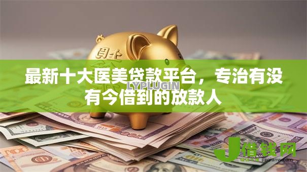 最新十大医美贷款平台，专治有没有今借到的放款人