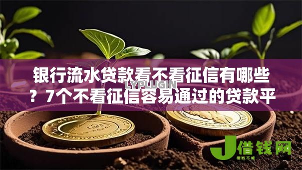银行流水贷款看不看征信有哪些?7个不看征信容易通过的贷款平台推荐给你 银行流水贷款看不看征信有哪些?7个不看征信容易通过的贷款平台推荐给你