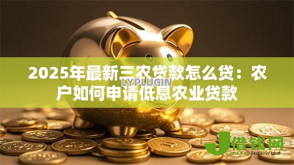2025年最新三农贷款怎么贷：农户如何申请低息农业贷款