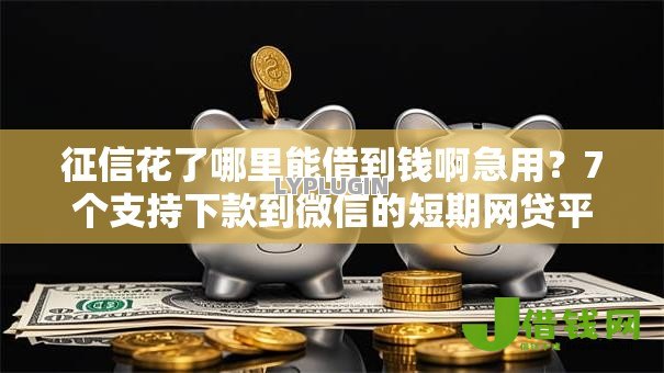 征信花了哪里能借到钱啊急用？7个支持下款到微信的短期网贷平台15天