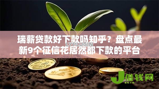 瑞薪贷款好下款吗知乎？盘点最新9个征信花居然都下款的平台