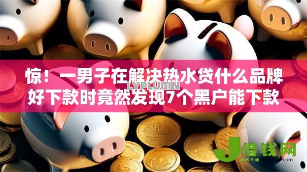 惊！一男子在解决热水贷什么品牌好下款时竟然发现7个黑户能下款的软件，事后分享了出来