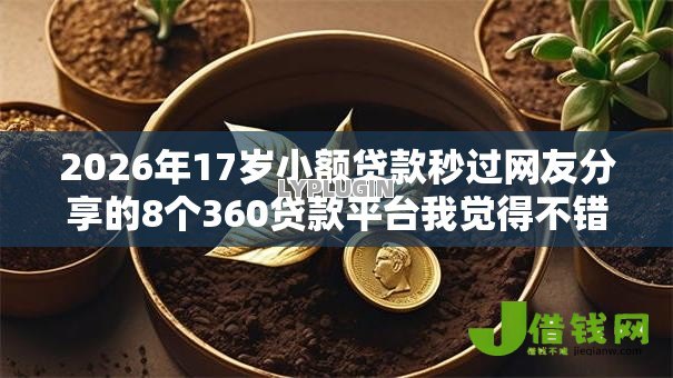2026年17岁小额贷款秒过网友分享的8个360贷款平台我觉得不错！