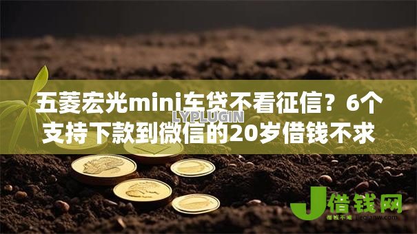 五菱宏光mini车贷不看征信？6个支持下款到微信的20岁借钱不求征信速借app