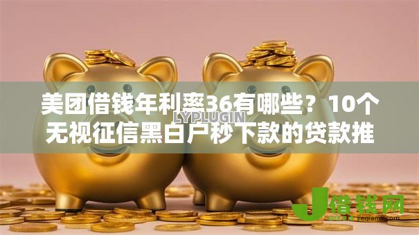 美团借钱年利率36有哪些？10个无视征信黑白户秒下款的贷款推荐给你