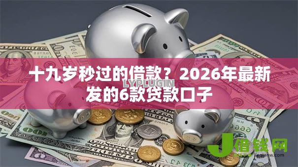 十九岁秒过的借款？2026年最新发的6款贷款口子