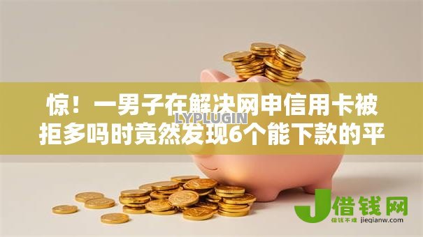 惊！一男子在解决网申信用卡被拒多吗时竟然发现6个能下款的平台，事后分享了出来