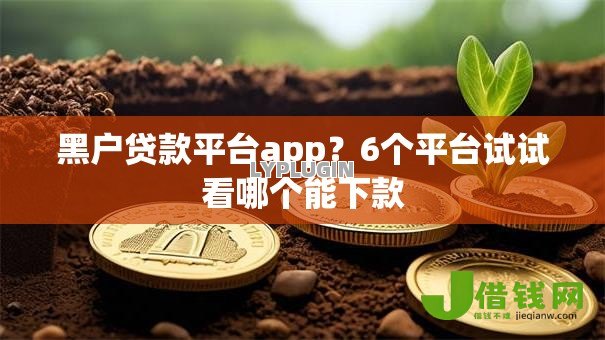 黑户贷款平台app？6个平台试试看哪个能下款