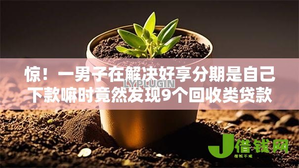 惊！一男子在解决好享分期是自己下款嘛时竟然发现9个回收类贷款口子，事后分享了出来