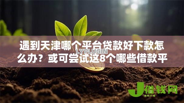 遇到天津哪个平台贷款好下款怎么办?或可尝试这8个哪些借款平台容易借到钱 遇到天津哪个平台贷款好下款怎么办?或可尝试这8个哪些借款平台容易借到钱
