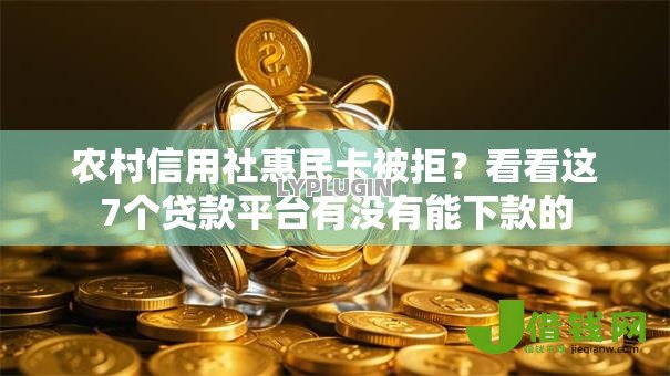 农村信用社惠民卡被拒?看看这7个贷款平台有没有能下款的 农村信用社惠民卡被拒?看看这7个贷款平台有没有能下款的