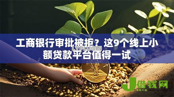 工商银行审批被拒？这9个线上小额贷款平台值得一试