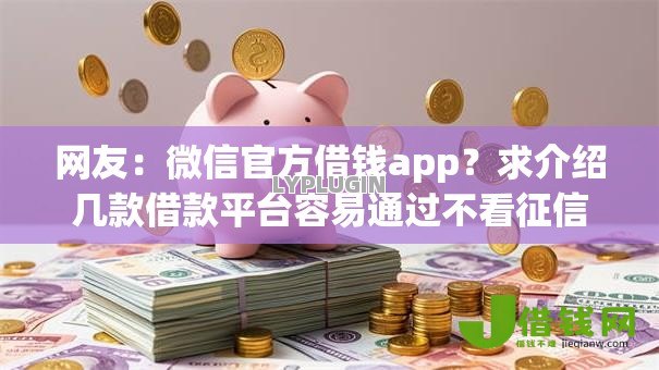 网友：微信官方借钱app？求介绍几款借款平台容易通过不看征信