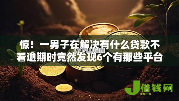 惊！一男子在解决有什么贷款不看逾期时竟然发现6个有那些平台可以借钱，事后分享了出来