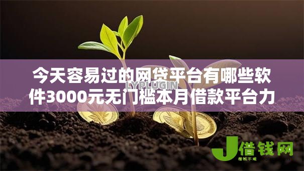 今天容易过的网贷平台有哪些软件3000元无门槛本月借款平台力荐！分享小额网贷口子3000元无门槛借款