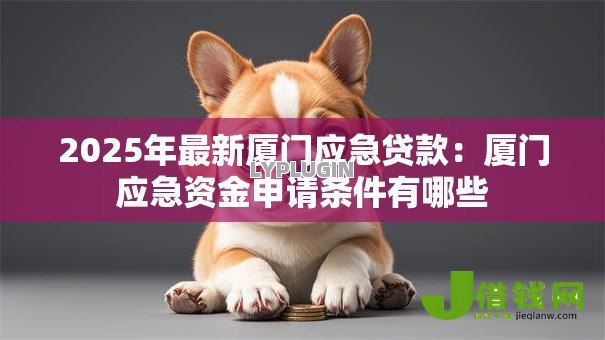 2025年最新厦门应急贷款：厦门应急资金申请条件有哪些