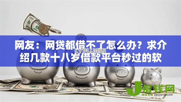 网友：网贷都借不了怎么办？求介绍几款十八岁借款平台秒过的软件