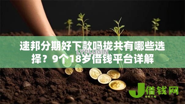 速邦分期好下款吗拢共有哪些选择？9个18岁借钱平台详解