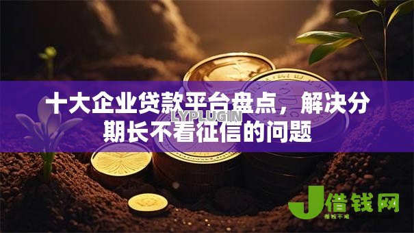 十大企业贷款平台盘点，解决分期长不看征信的问题