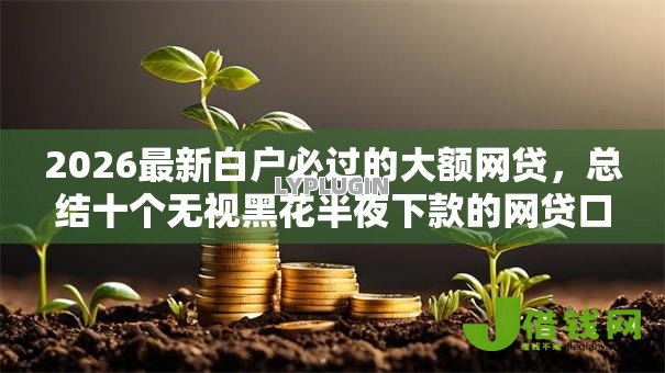 2026最新白户必过的大额网贷，总结十个无视黑花半夜下款的网贷口子！