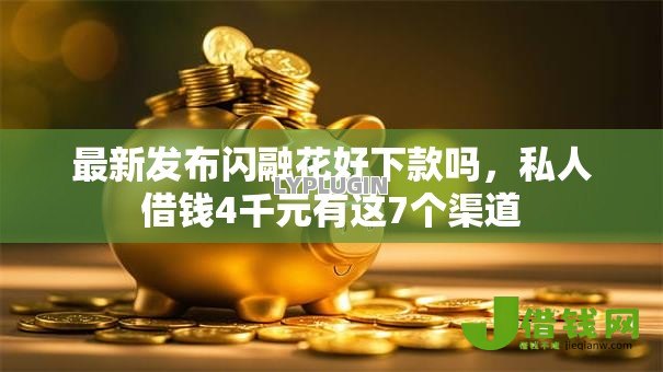 最新发布闪融花好下款吗，私人借钱4千元有这7个渠道