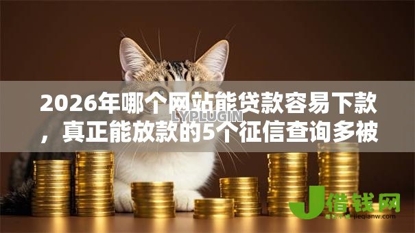 2026年哪个网站能贷款容易下款,真正能放款的5个征信查询多被封空有下款的小额短期网贷口子推荐 2026年哪个网站能贷款容易下款,真正能放款的5个征信查询多被封空有下款的小额短期网贷口子推荐