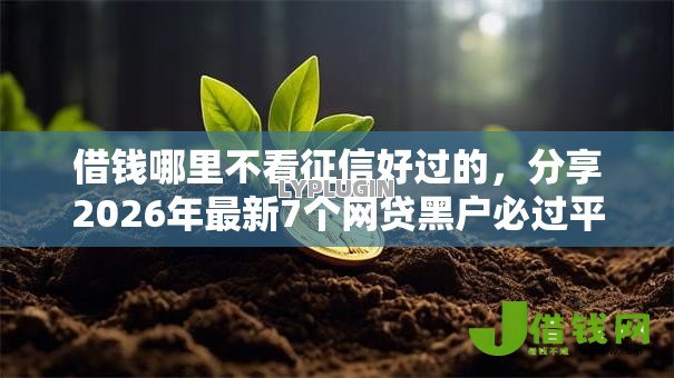 借钱哪里不看征信好过的，分享2026年最新7个网贷黑户必过平台