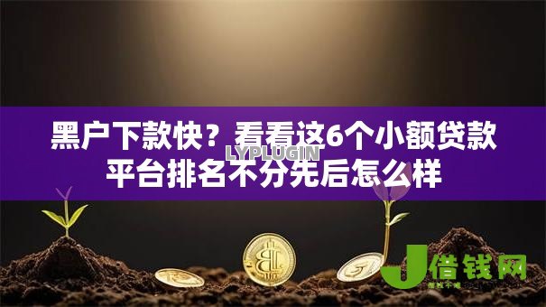 黑户下款快？看看这6个小额贷款平台排名不分先后怎么样