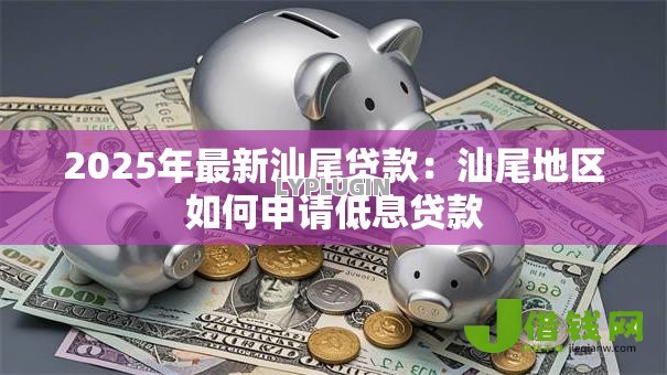 2025年最新汕尾贷款：汕尾地区如何申请低息贷款