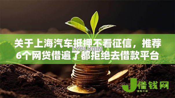 关于上海汽车抵押不看征信，推荐6个网贷借遍了都拒绝去借款平台借钱给你