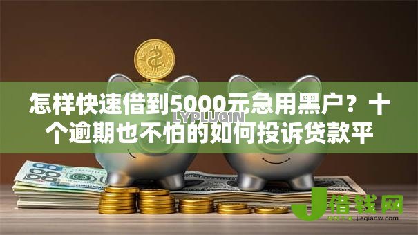 怎样快速借到5000元急用黑户？十个逾期也不怕的如何投诉贷款平台