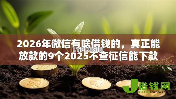 2026年微信有啥借钱的，真正能放款的9个2025不查征信能下款的平台推荐