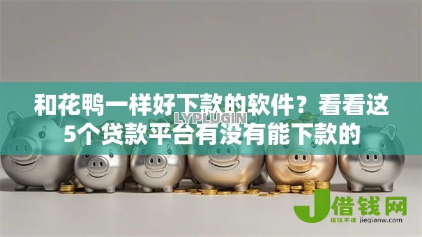 和花鸭一样好下款的软件？看看这5个贷款平台有没有能下款的