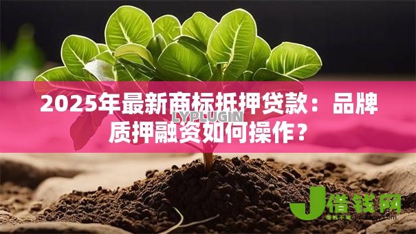 2025年最新商标抵押贷款:品牌质押融资如何操作? 2025年最新商标抵押贷款:品牌质押融资如何操作?