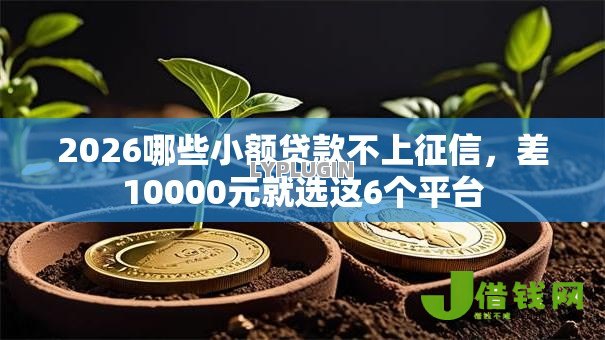2026哪些小额贷款不上征信，差10000元就选这6个平台