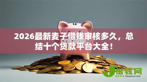 2026最新麦子借钱审核多久，总结十个贷款平台大全！