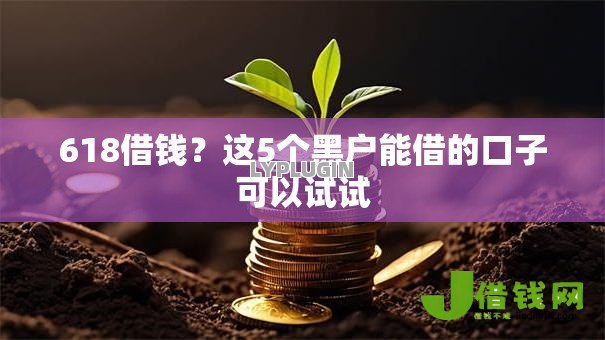 618借钱？这5个黑户能借的口子可以试试