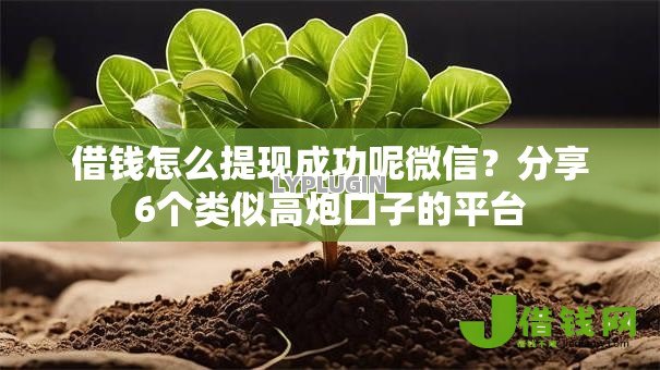 借钱怎么提现成功呢微信？分享6个类似高炮口子的平台