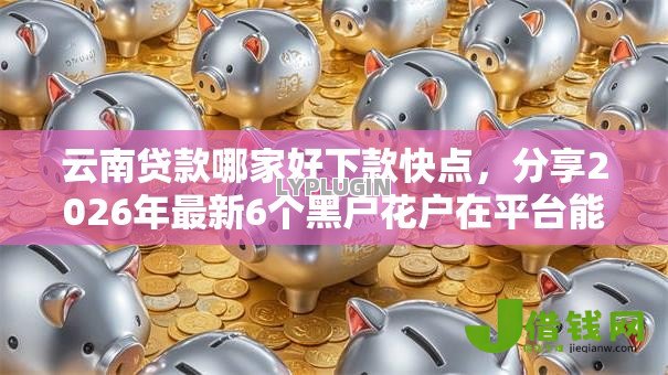 云南贷款哪家好下款快点，分享2026年最新6个黑户花户在平台能下款