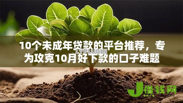 10个未成年贷款的平台推荐，专为攻克10月好下款的口子难题