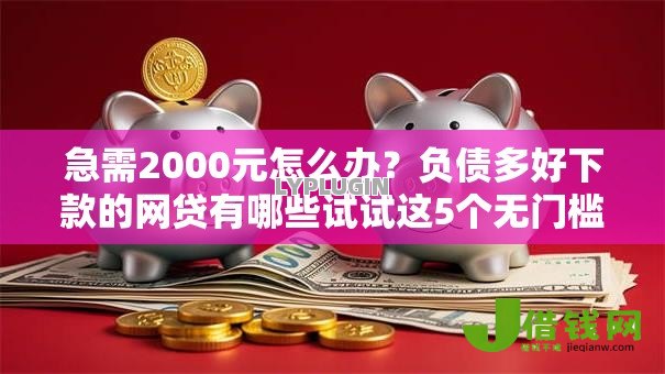 急需2000元怎么办？负债多好下款的网贷有哪些试试这5个无门槛平台