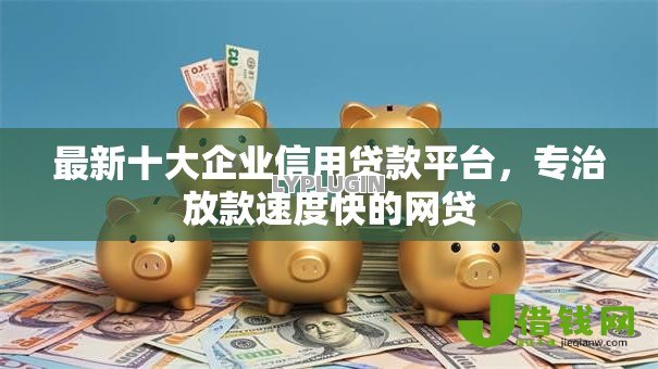 最新十大企业信用贷款平台，专治放款速度快的网贷